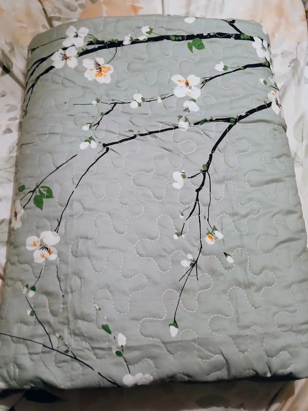TWIN Floral Quilted Bedspread & Sham- Sage Green (New)